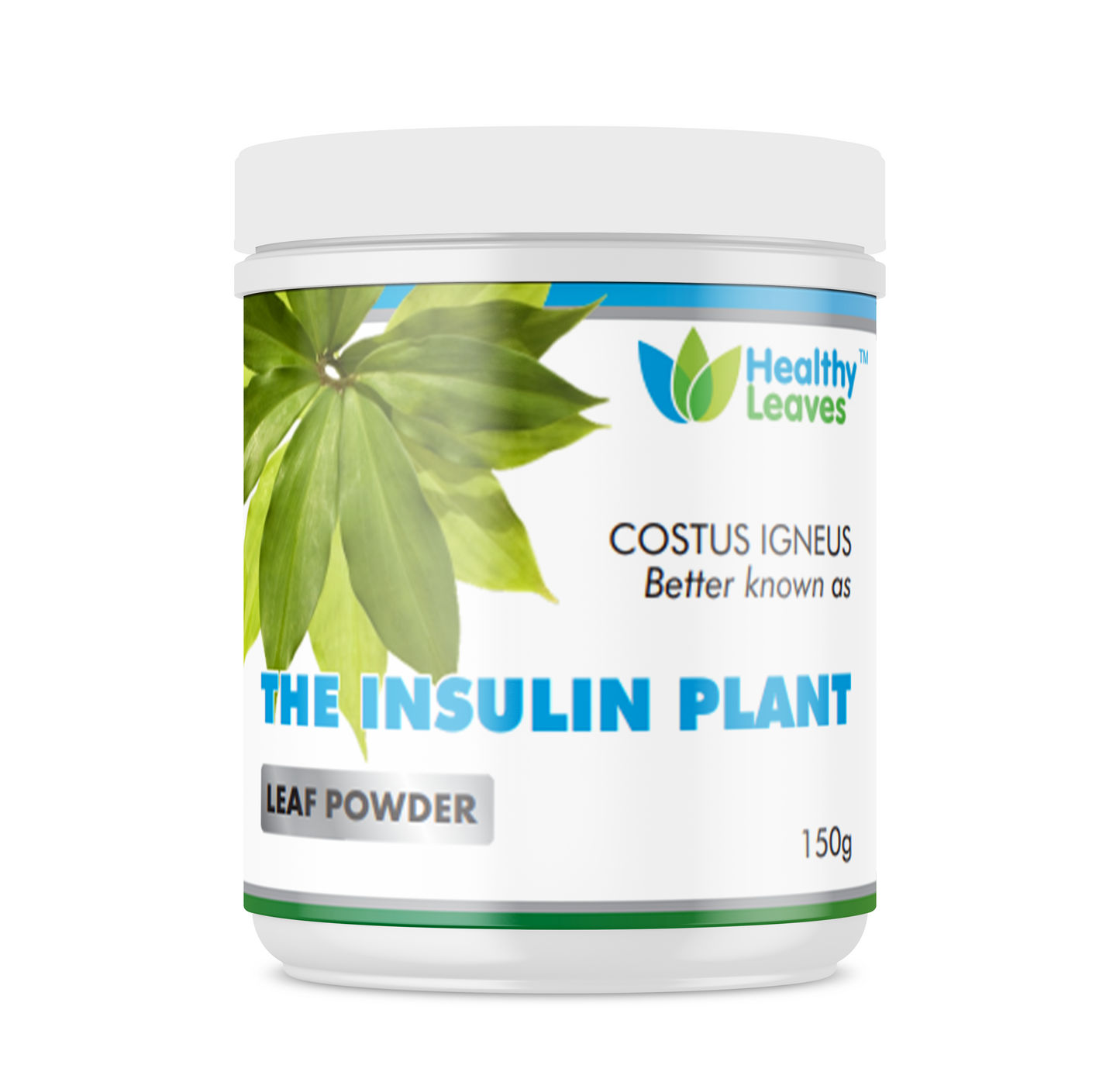 Insulin Plant Powder - 150g