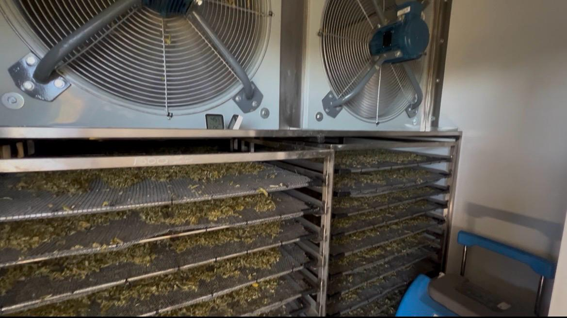 Drying equipment and racks inside the processing facility